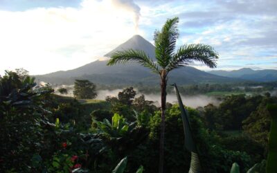 Voyage au Costa Rica : le paradis de la biodiversité