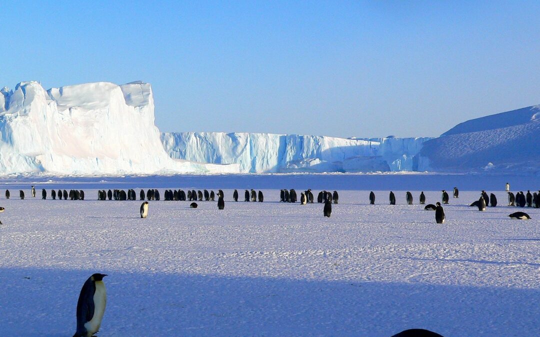Voyage en Antarctique : au bout du monde